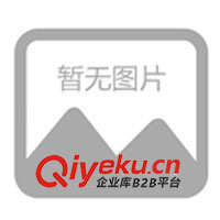 供應(yīng)美國愛惠浦4K Puls型制冰凈水器